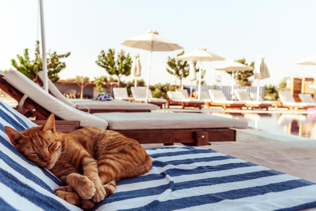 Sails On Kos Ecolux Tented Village Marmari  Ngoại thất bức ảnh